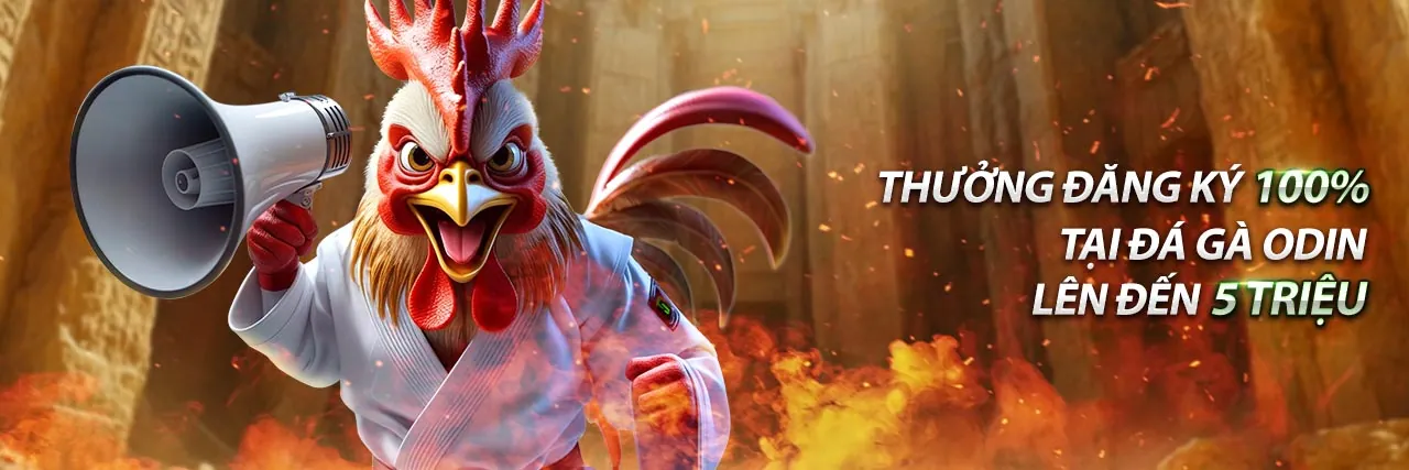 Cá Cược Thể Thao t8bet 2026